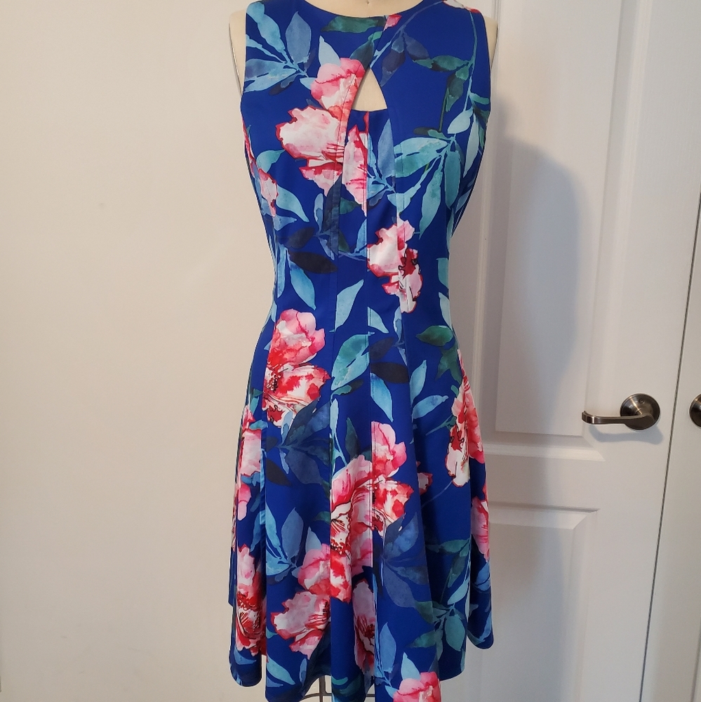 Womens Summer Floral Print Fit and Flare Dress